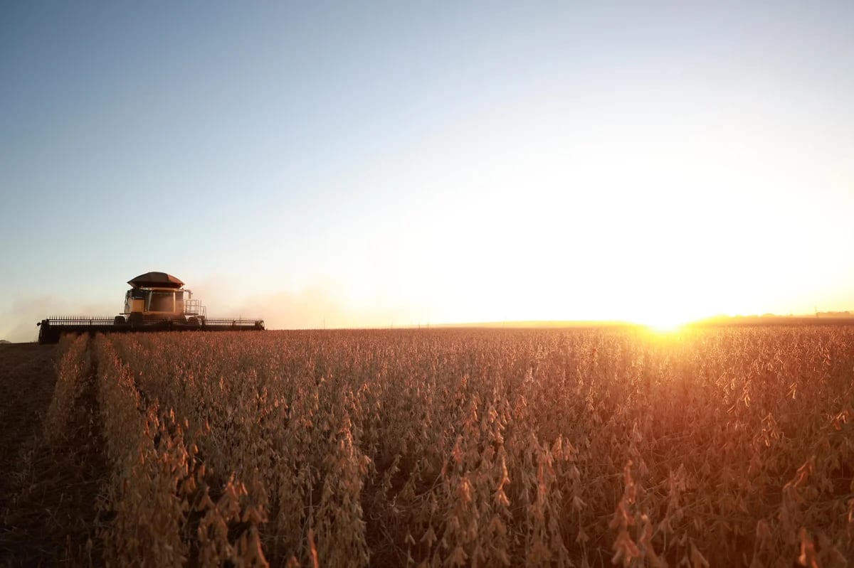 As ações que o agro considera prioritárias na agenda do novo governo do Brasil