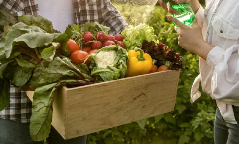 Câmara dos Deputados dá aval ao projeto que institui a Política Nacional de Agroecologia e Orgânicos