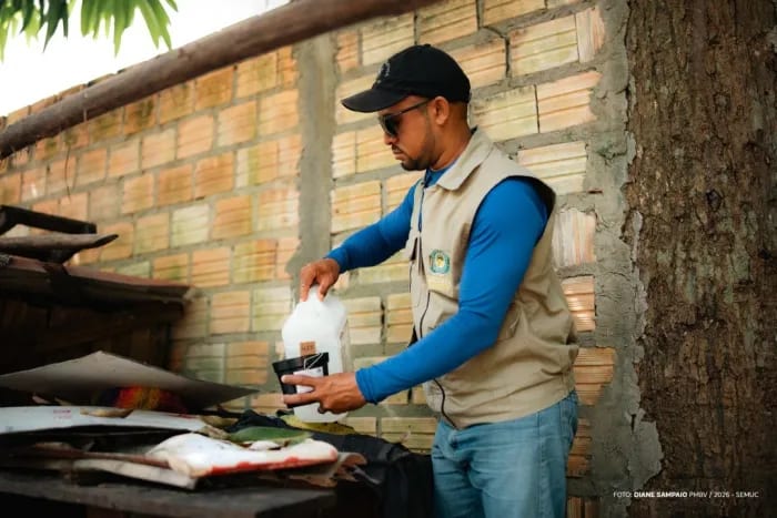 Prefeitura instala ovitrampas no Equatorial para monitorar Aedes aegypti