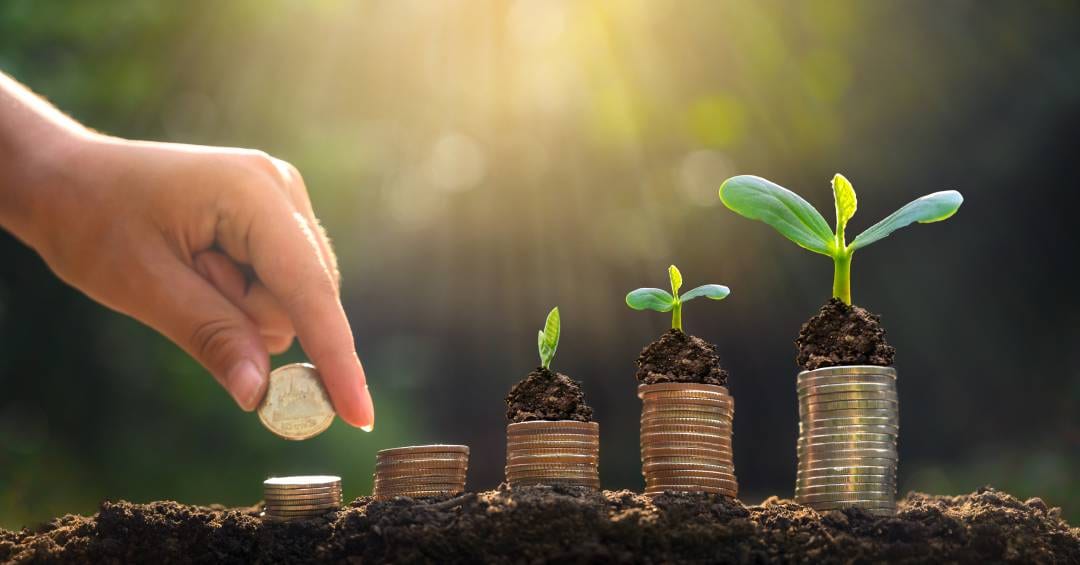 O dinheiro descobre a bioeconomia