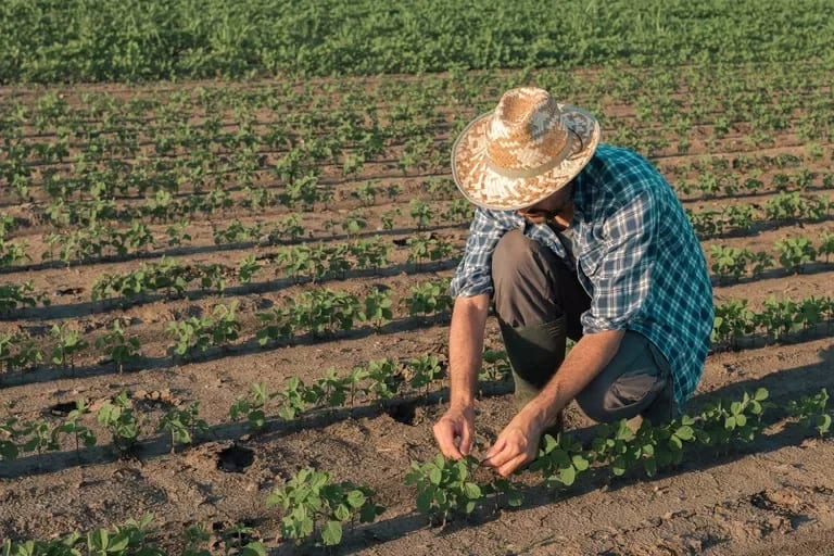 Agricultura familiar do RS começa safra com R$ 8,5 bilhões em dívidas