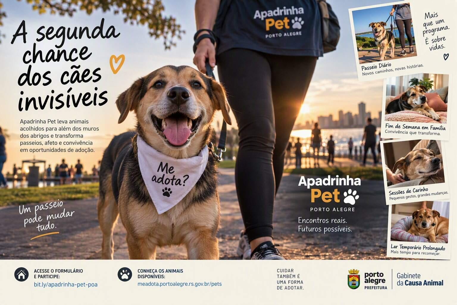 A segunda chance dos cães invisíveis