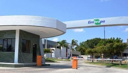 PL 3336/26 isenta institutos estaduais de taxas federais sobre patentes e tecnologias do agro