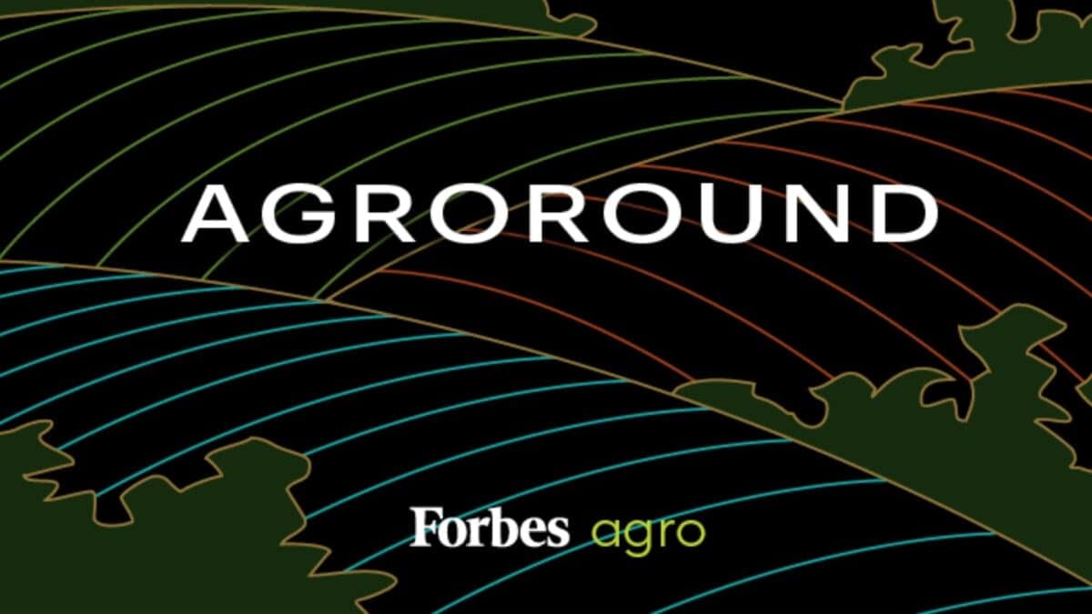 Exportações de Carne Bovina Chegam a 2,43 Milhões de Toneladas. Veja os Destaques do AgroRound