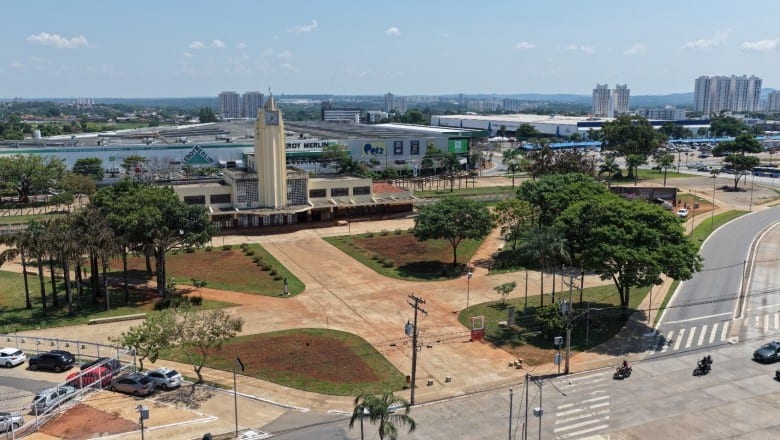 Comurg planta 15,4 mil mudas de flores e substitui árvores secas no Centro de Goiânia