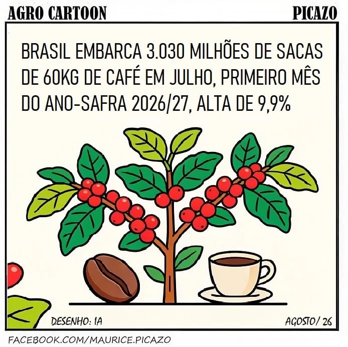 Café: exportações sobem 9,9% em julho; receita cai 13,2% para US$ 903,9 mi
