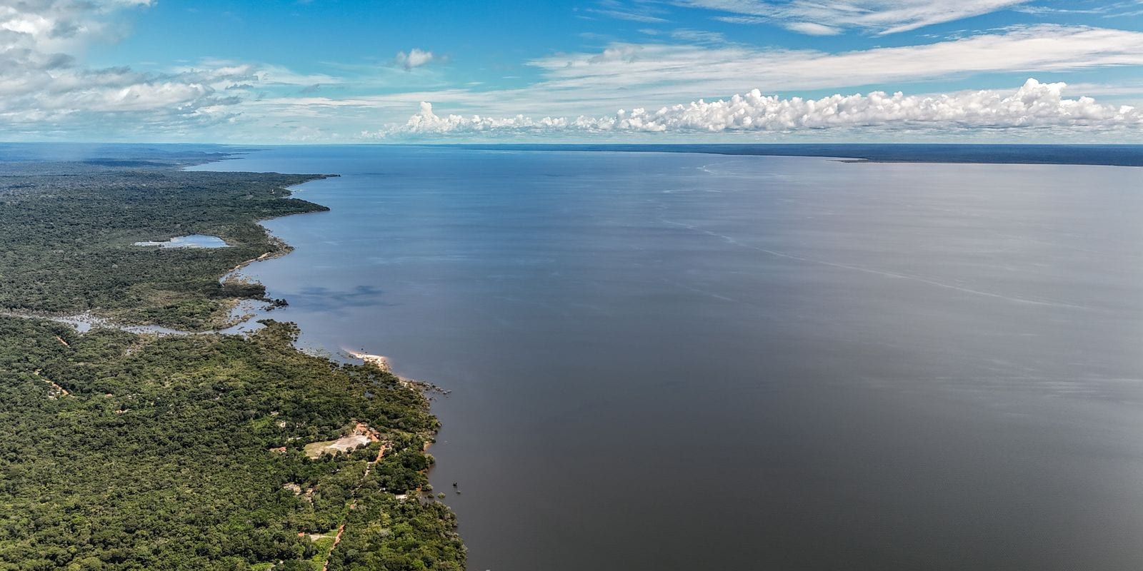 Análise das Propostas Ambientais de Flávio Bolsonaro e Lula nas Eleições