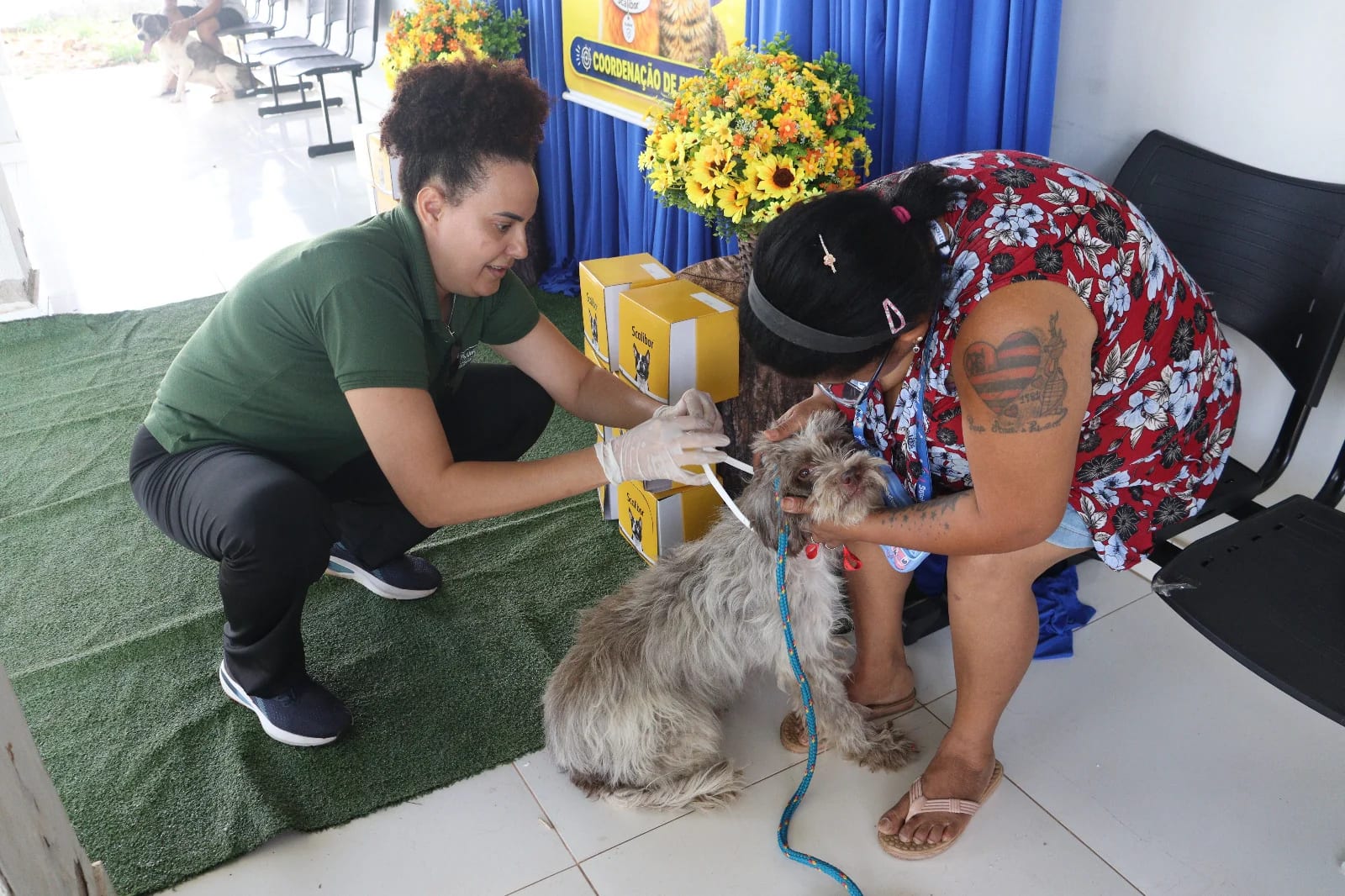 Coordenação de Endemias de Tocantínia promove imunização de cães e gatos contra a raiva animal