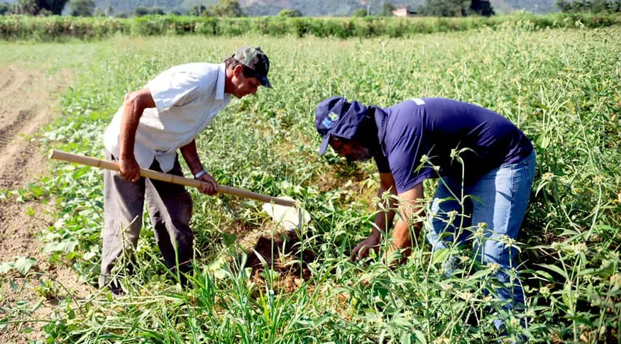 Tocantins teve 23 conflitos no campo no 1º semestre de 2026