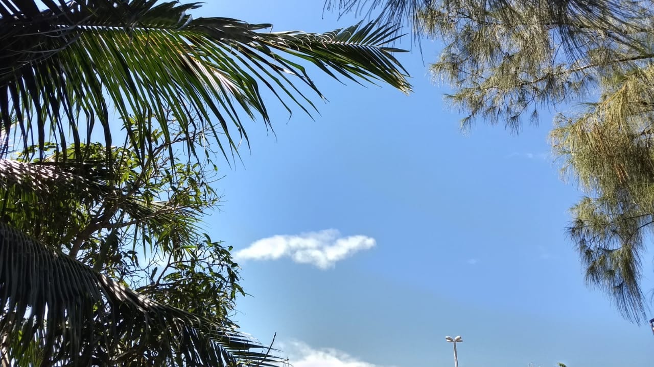 Previsão do tempo indica semana de sol em Sergipe