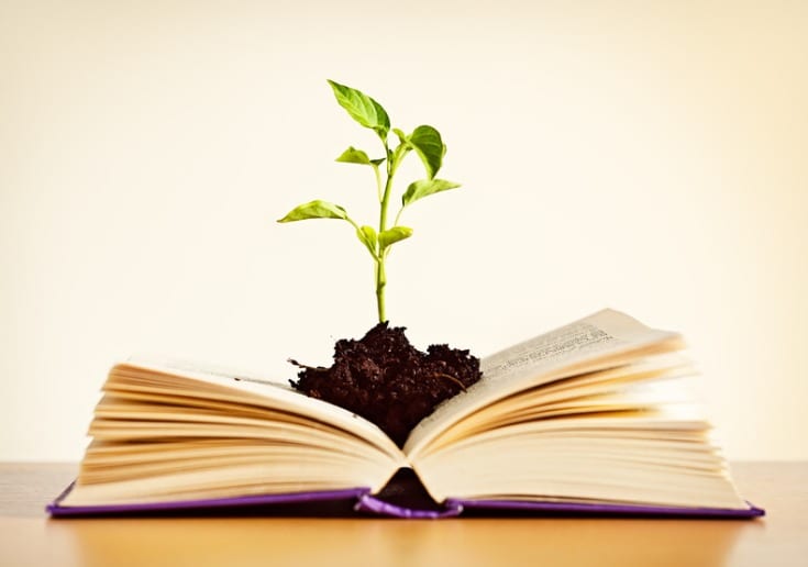 Semana do Livro e da Biblioteca oferece atividades culturais na UniEVANGÉLICA