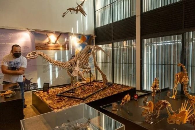 SBPC aprova moção pela criação do Museu de História Natural da UnB