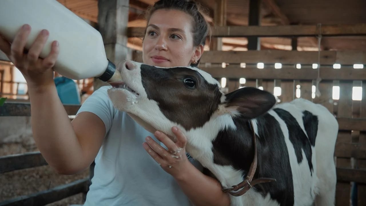 Dia Internacional da Mulher Rural: Governo de SP dobra limite de crédito exclusivo para produtoras desde 2024