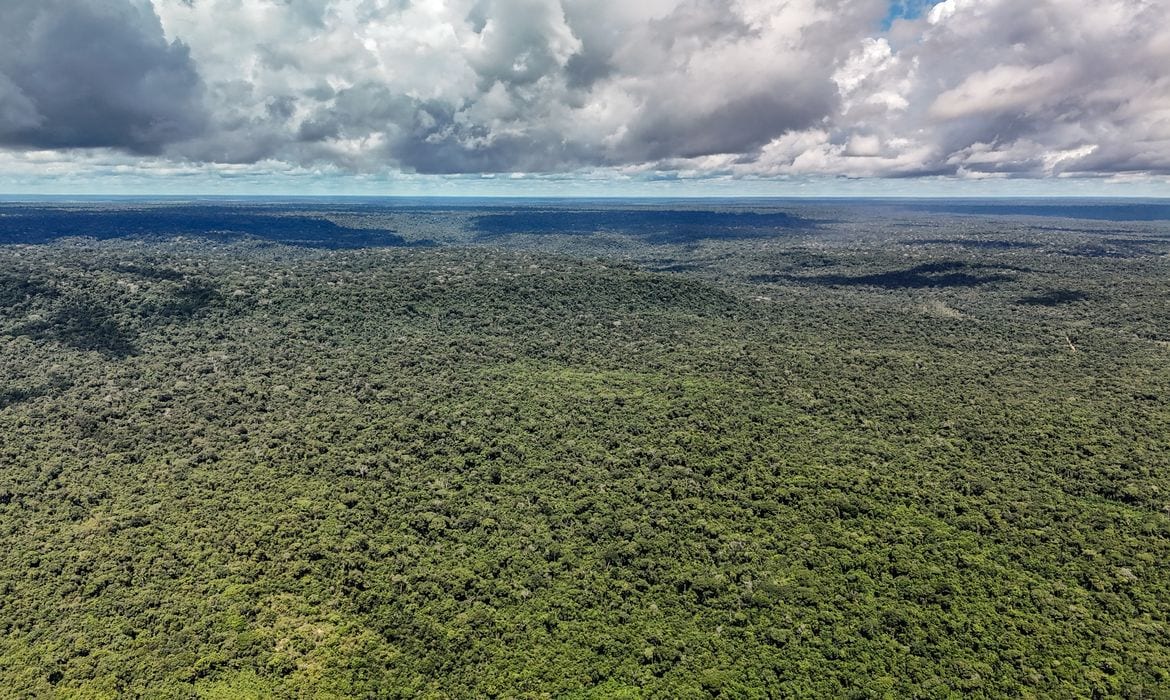 Brasil é autorizado a contratar crédito de US$ 1 bilhão do BID para transição ecológica
