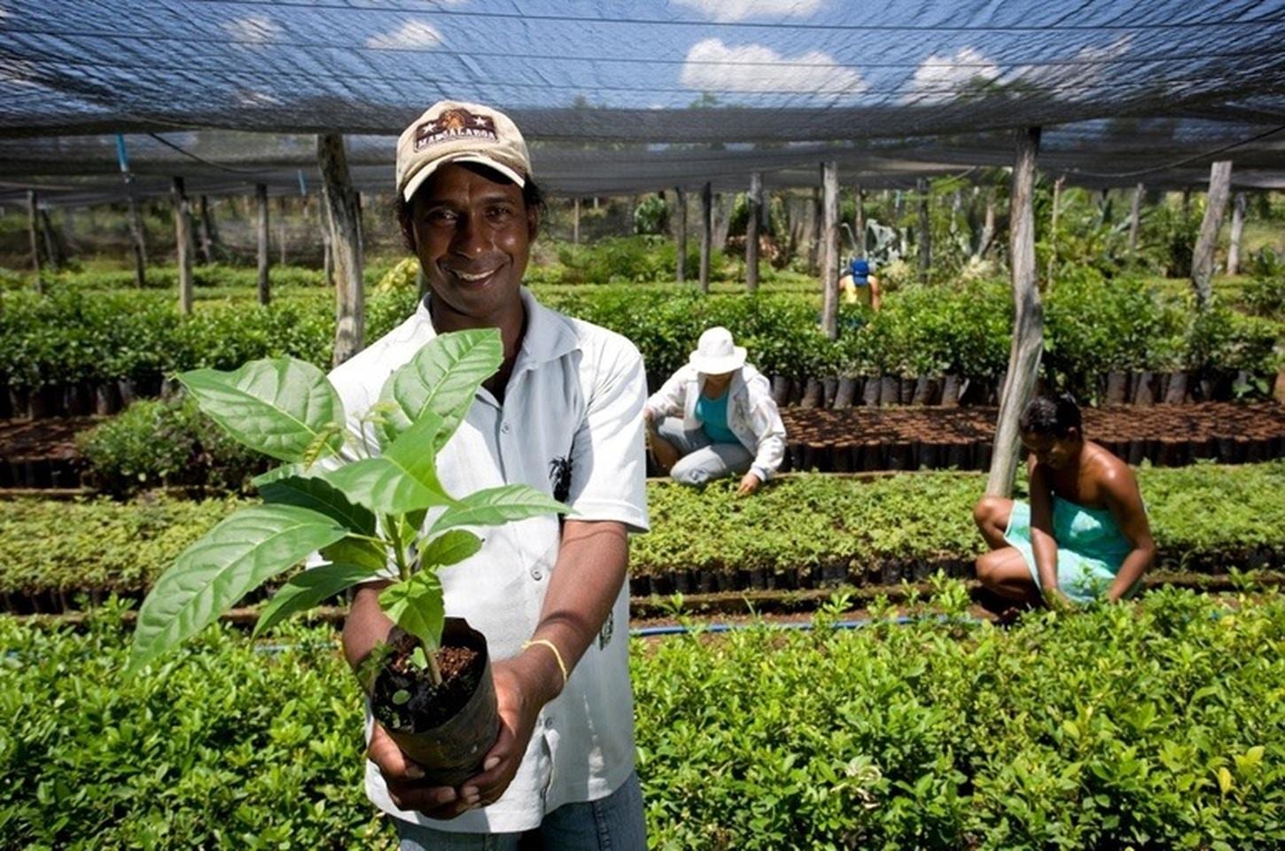 No Rio Grande do Sul, órgãos públicos já contrataram mais de R$ 4,1 milhões de microempreendedores e agricultores famili