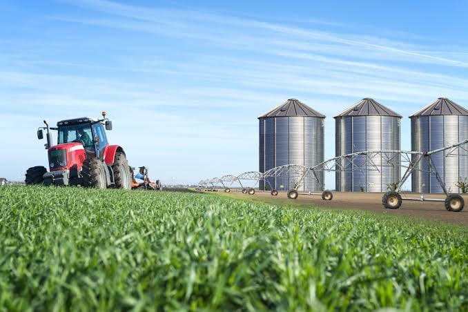 PIB do Brasil cresce 0,5% no segundo trimestre de 2026 impulsionado pela agropecuária