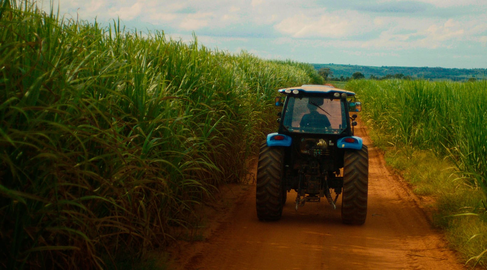 SP reforça ações contra o El Niño para proteger o agronegócio