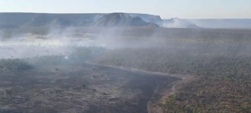 Fogo atinge 8 mil hectares em Terra Ronca desde domingo (10)