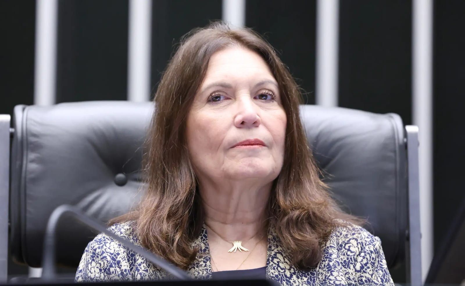 PSOL pede ao STF investigação sobre emenda de R$ 250 mil ligada a anúncios 'Bia' no DF