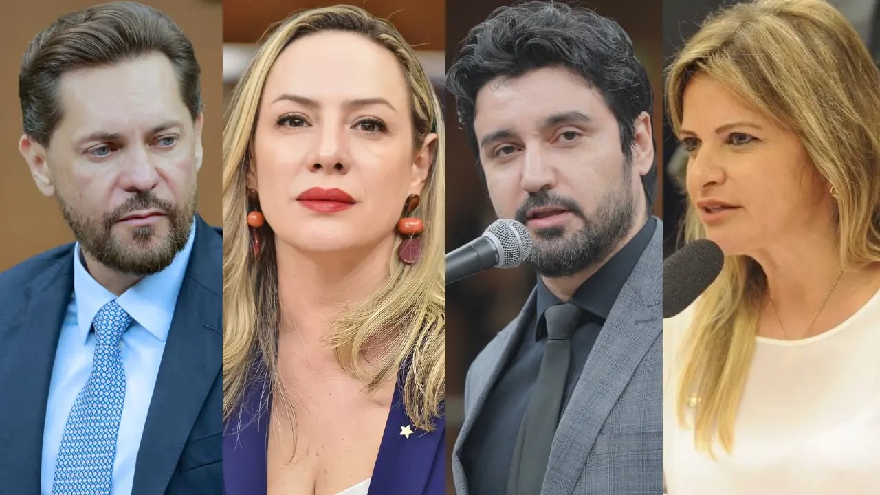 Goiás reelege 11 de 17 deputados federais; seis vagas são renovadas