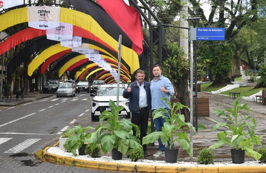 41ª Oktoberfest | Plantas de fumo decoram a Marechal Floriano