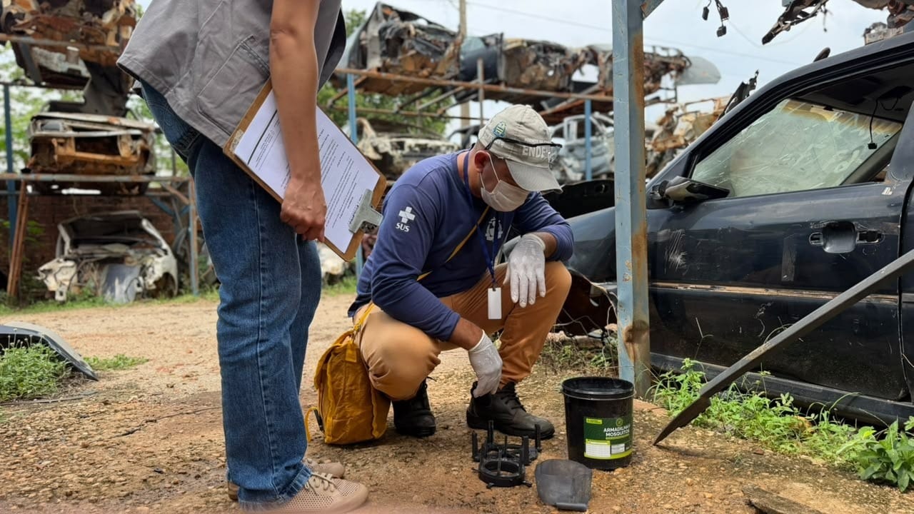 Palmas aposta em nova tecnologia de armadilhas para combater a dengue