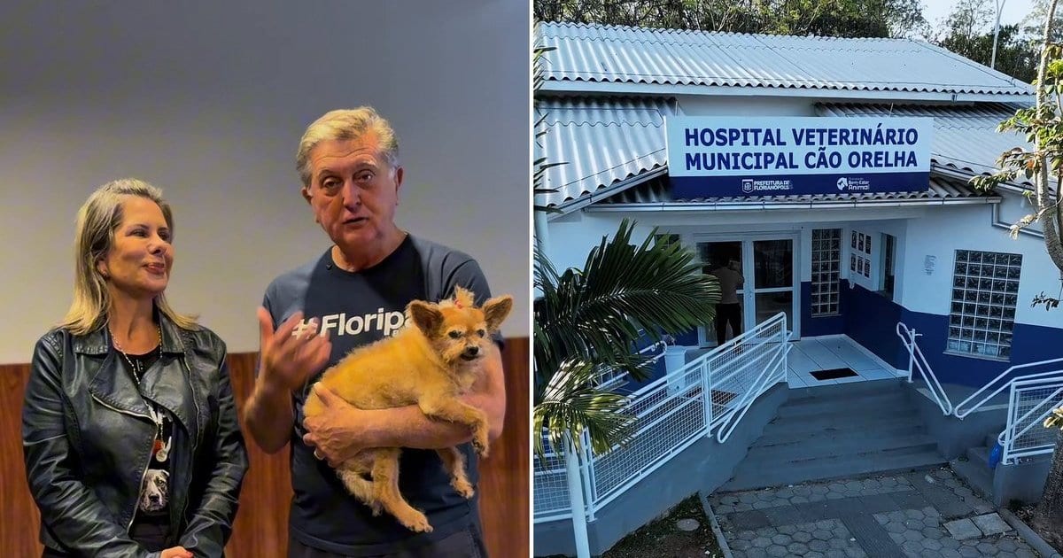 Pri Fernandes promete levar hospitais veterinários públicos a toda Santa Catarina