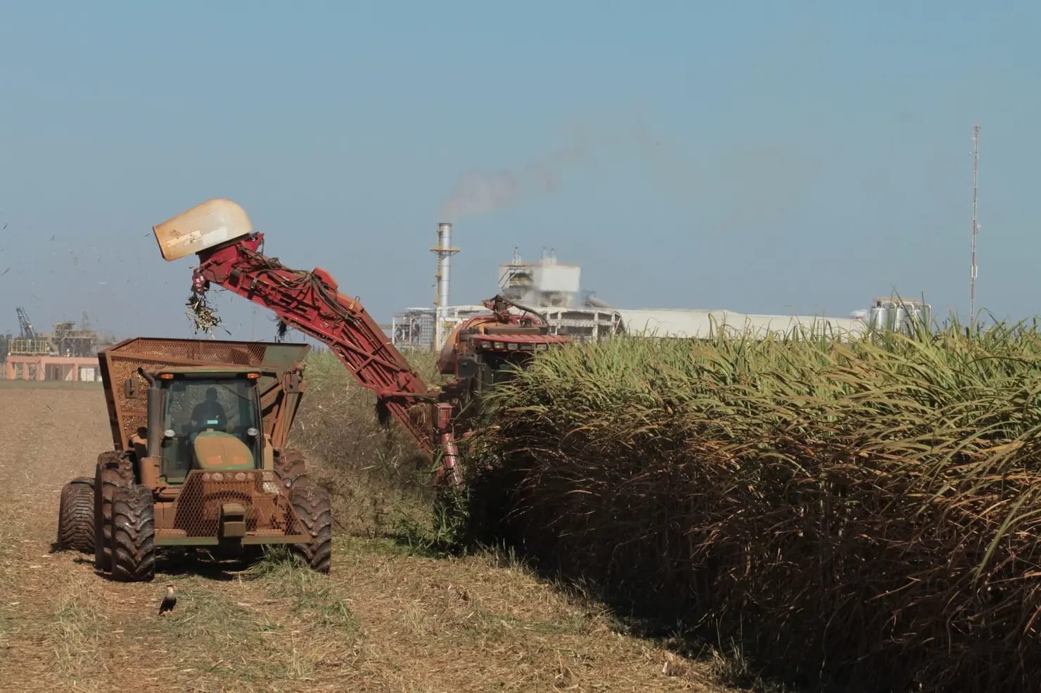 Goiás sobe ao 5º lugar no valor da produção agrícola do País