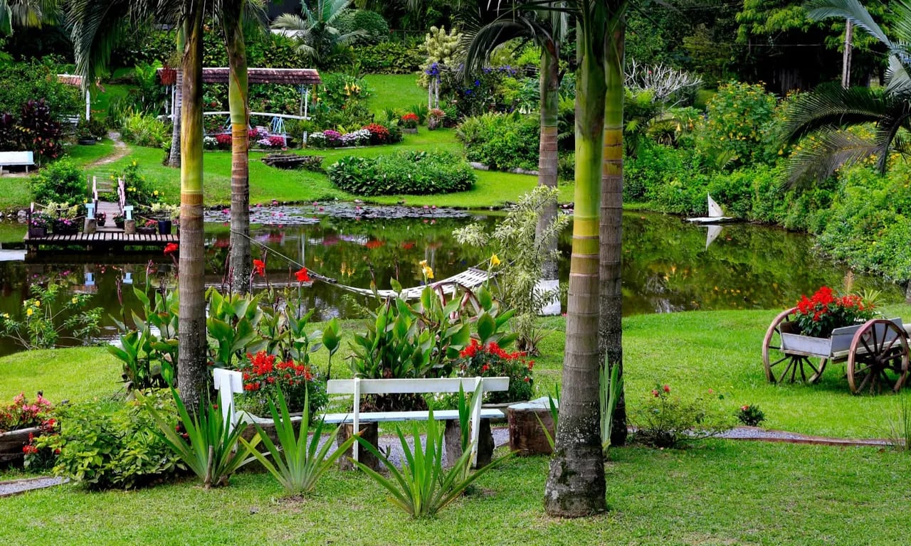 Festa das Flores prorroga inscrições do Concurso de Jardins