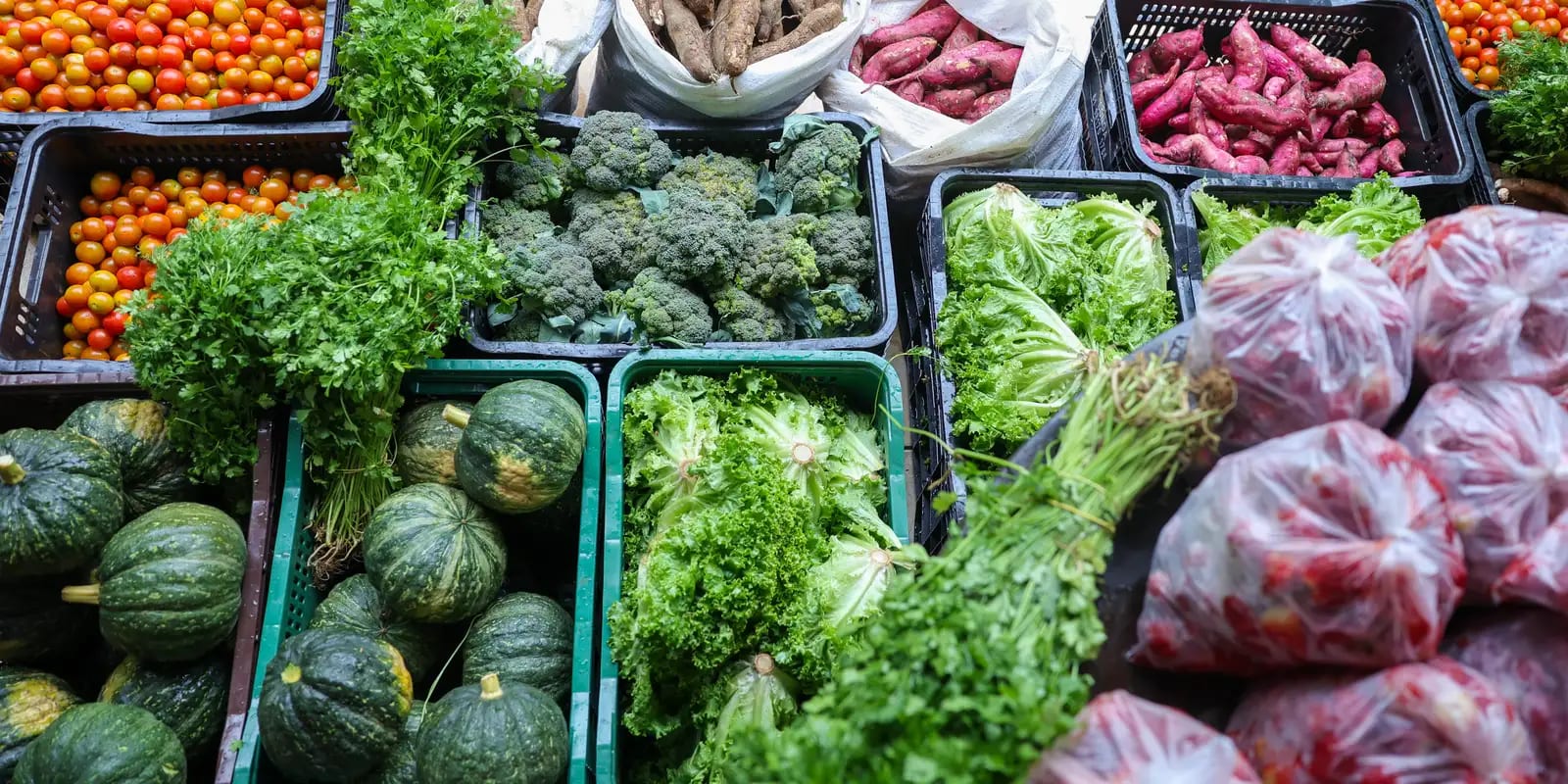 Brasil manteve subnutrição abaixo de 2,5%; cozinhas solidárias ampliam oferta