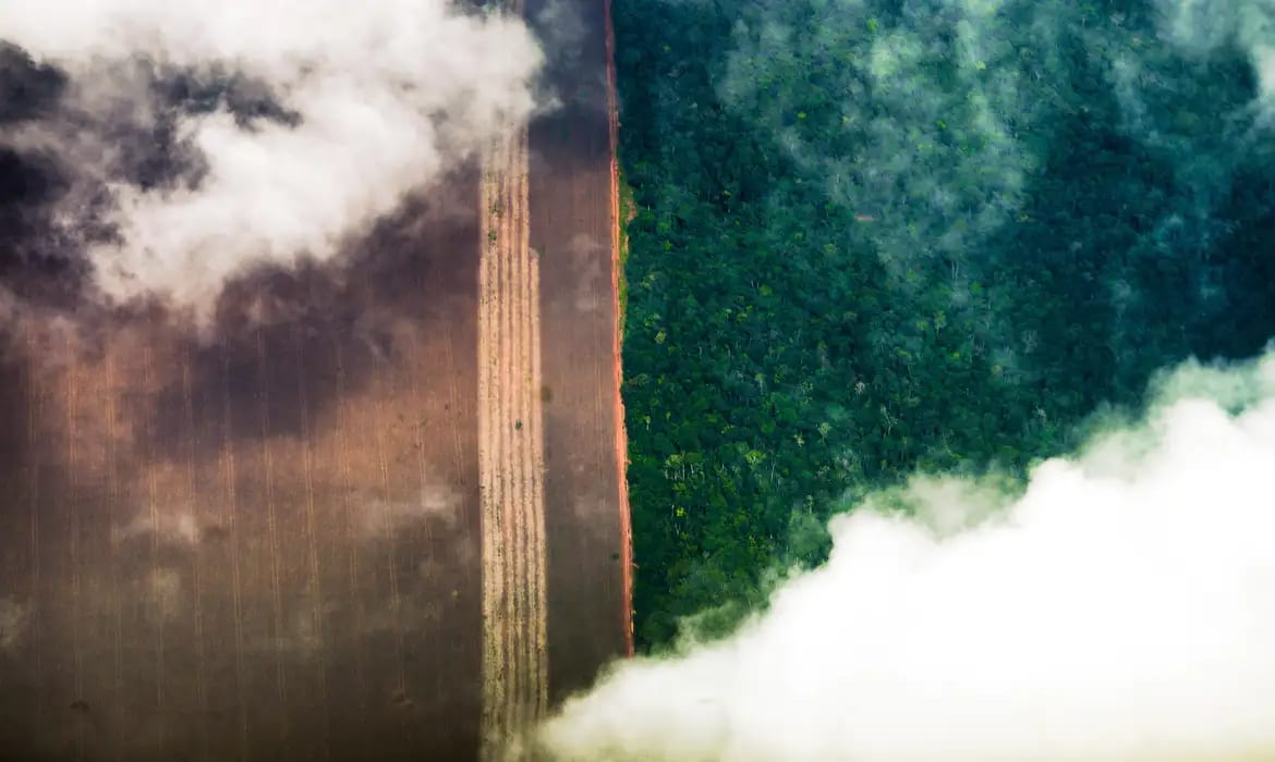 Amazônia tem menor área sob alerta de desmatamento em 10 anos