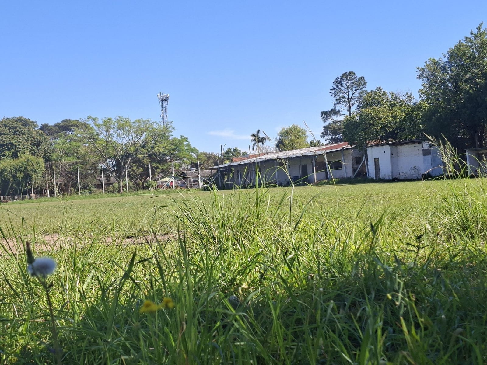 Prefeitura revoga cessão; UBS ocupará metade do terreno da Ponte Preta