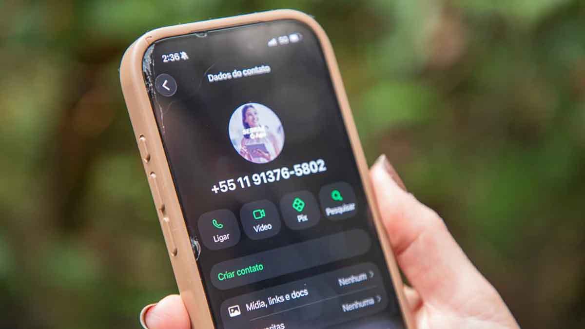 Sebrae e Secretaria da Mulher de Barueri oferecem curso para influenciadores digitais
