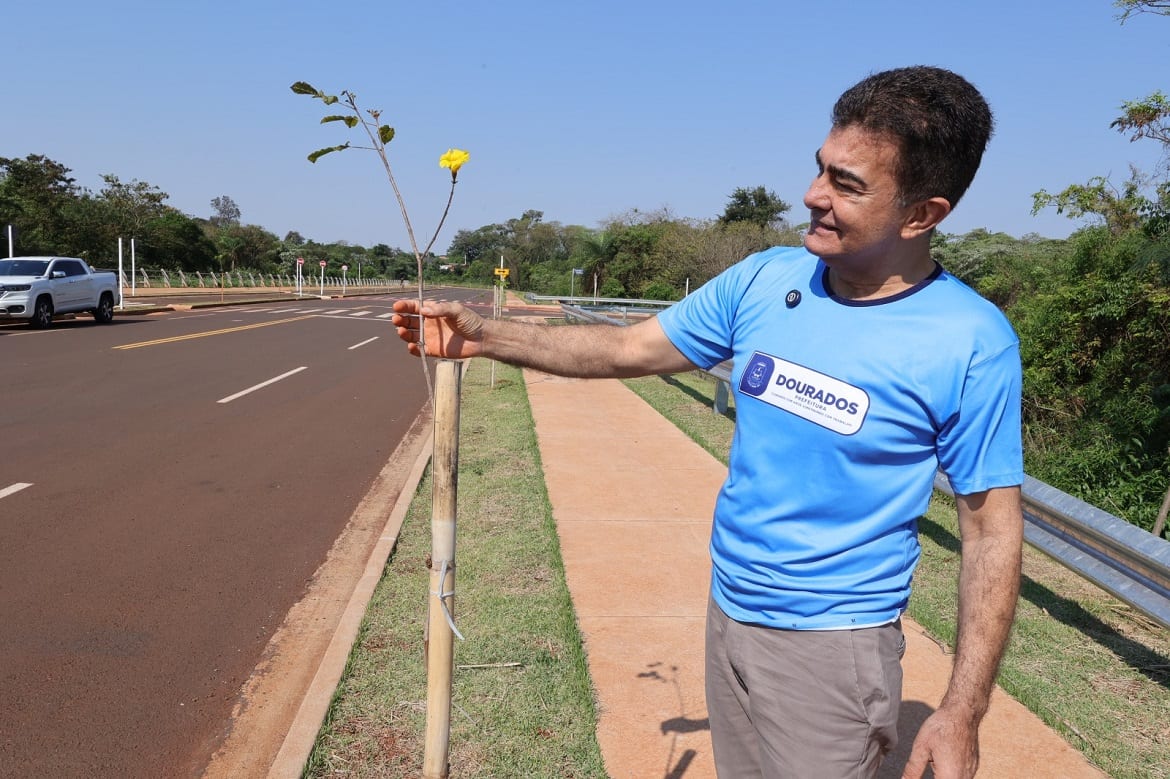No Dia da Árvore, prefeito planta mudas frutíferas na Avenida dos Ipês