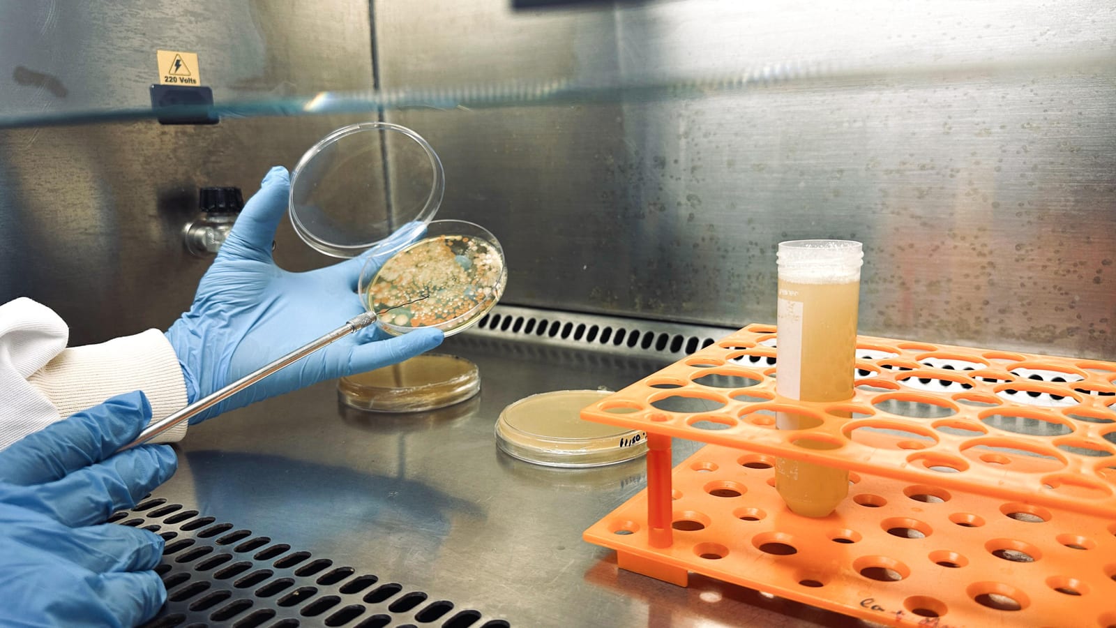 Bioinsumos: R$ 7 bi em 2025 e 280 milhões tCO₂ evitadas
