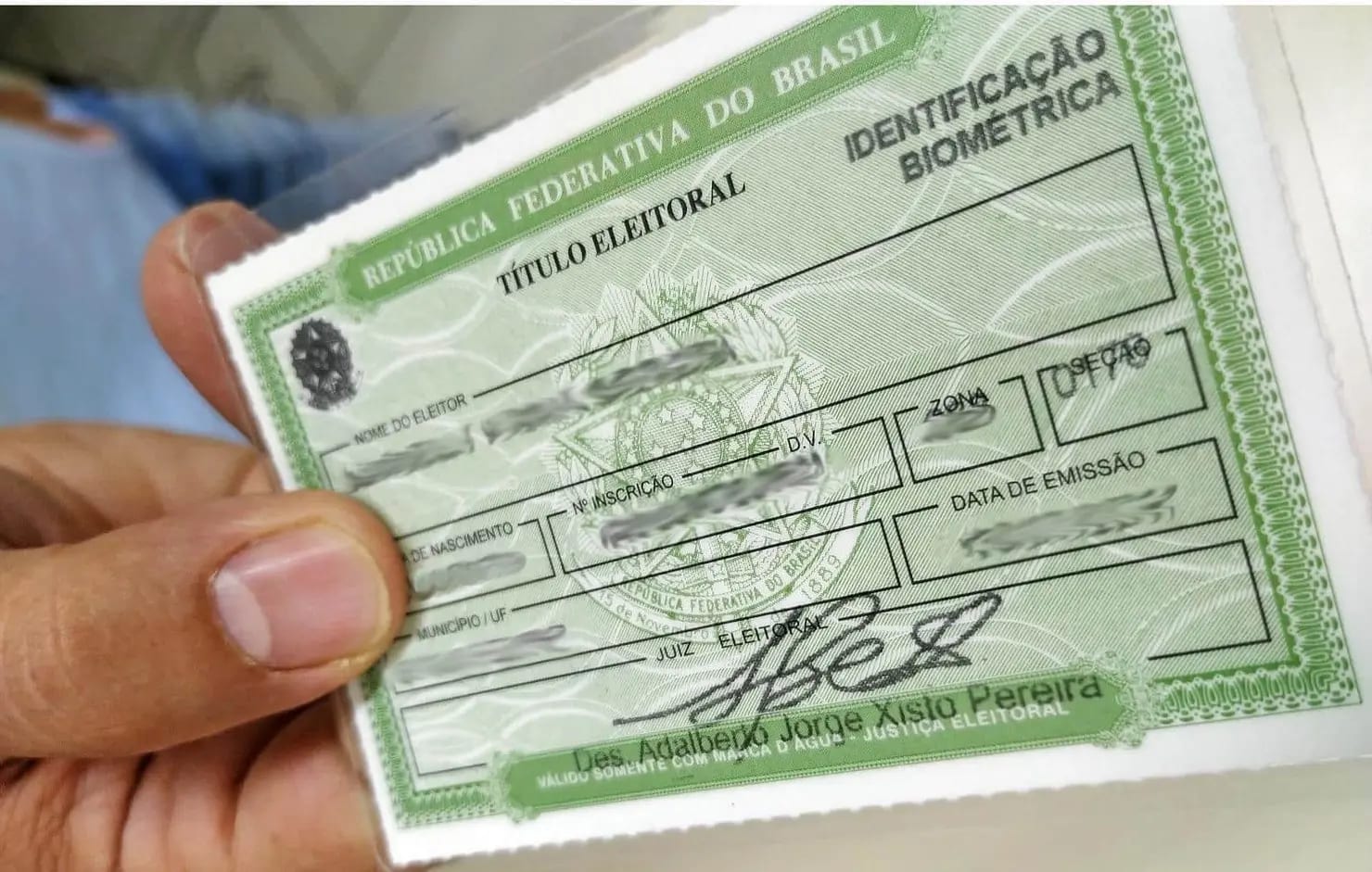 Seção eleitoral: veja como consultar onde votar neste domingo (25)