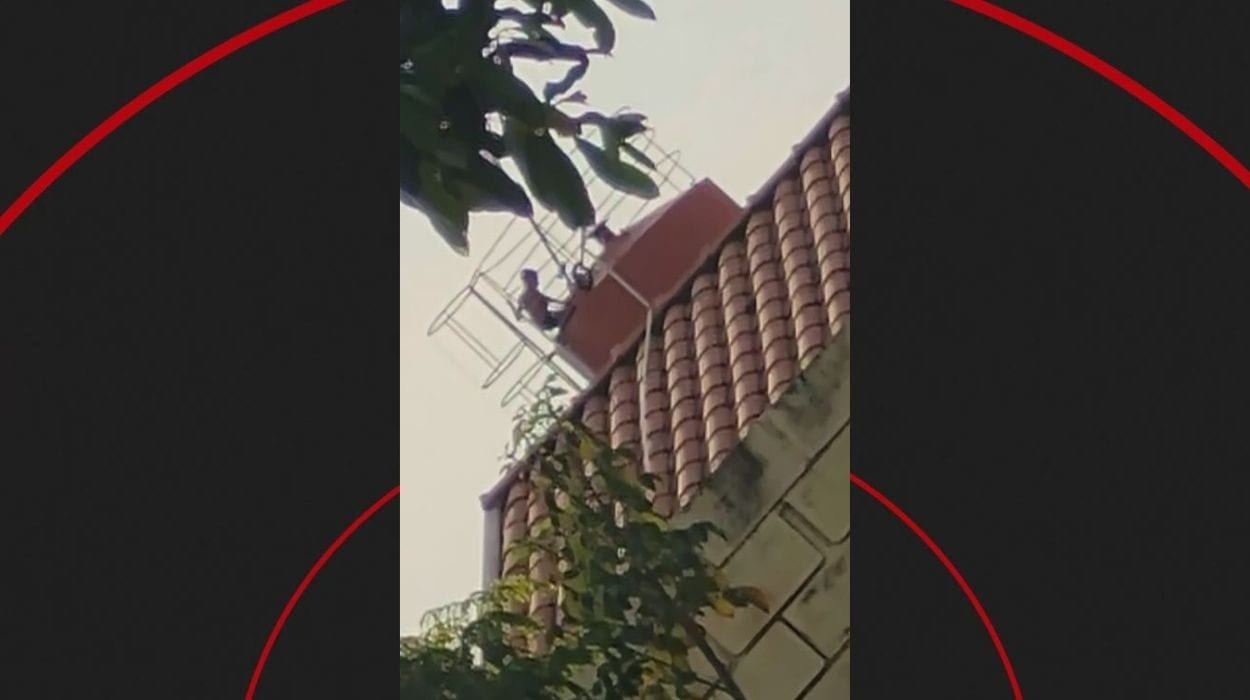 Suspeita de contaminação de água de escola por dejetos humanos suspende aulas no interior de SP