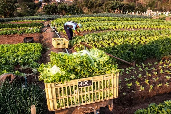 Poço das Antas recebe encontro sobre recuperação da agricultura familiar
