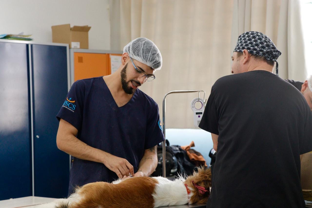Mutirão de castração atende 190 animais no Jardim Europa; deste 2018, mais de 12 mil atendimentos foram feitos em toda a