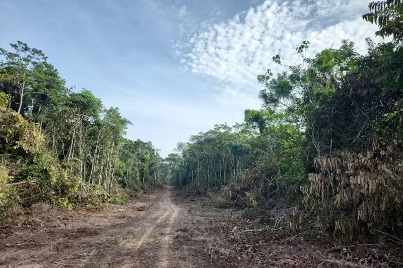 MPF exige que Acre restabeleça bloqueio do Ramal Barbary em cinco dias
