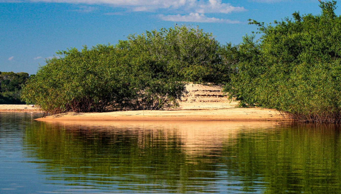 Tocantins garante cerca de R$ 88 milhões para ações ambientais e projetos de reciclagem
