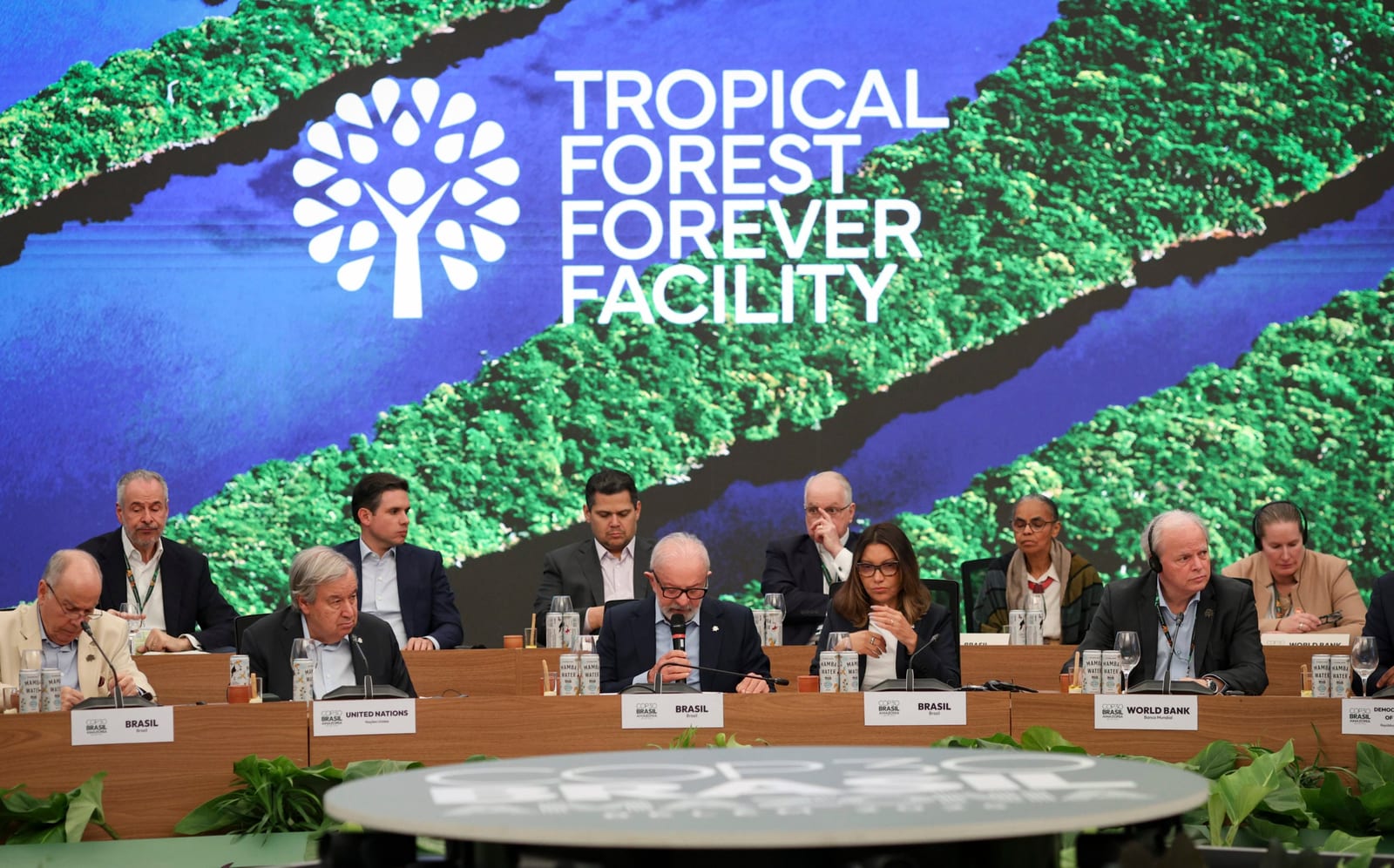 Fundo de florestas de Lula alcança US$ 7,3 bi com aporte britânico