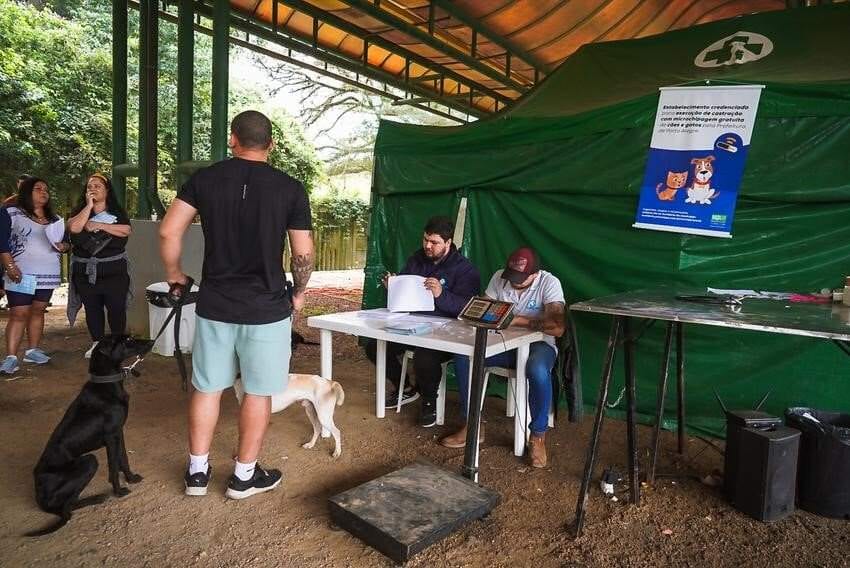 Porto Alegre abre 1.050 vagas gratuitas para castração de cães e gatos