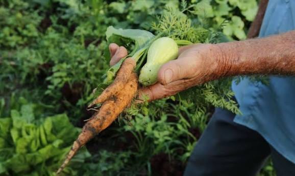 MDA cria GTT para planejar valorização dos Sistemas Agrícolas Tradicionais