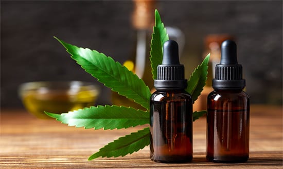 Aracaju recebe Aju Cannabis Summit nos dias 24 e 25 de setembro