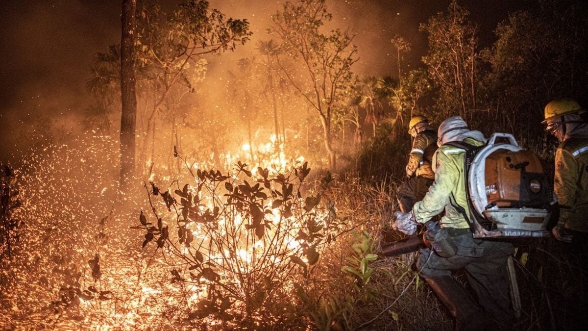 Bombeiros de SP prestam ajuda para combater incêndios no Amazonas