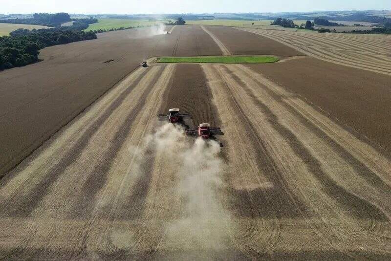 Governo gaúcho seleciona negócios inovadores do agronegócio para capacitação internacional