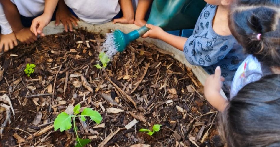 Socorro inicia implantação de hortas urbanas em escolas municipais