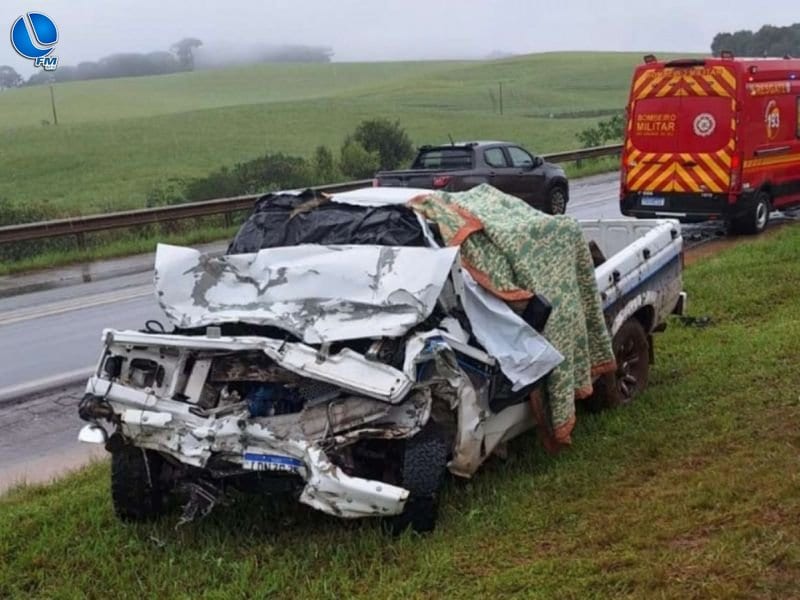 Idoso de 79 anos morre em colisão entre caminhonete e carreta na BR-285, em Caseiros