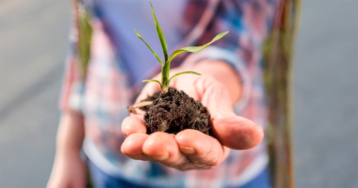 Como os bionsumos podem reduzir a dependência externa da agricultura nacional